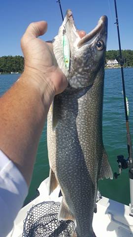 Flatterjig-Test - Vertikalfischen in Michigan