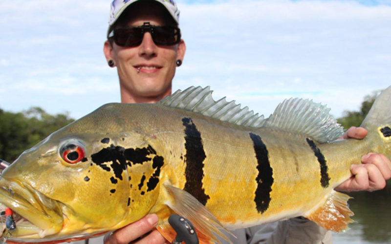 Frank Buchholz Haarjigs – Haarjig.de stellt sich vor