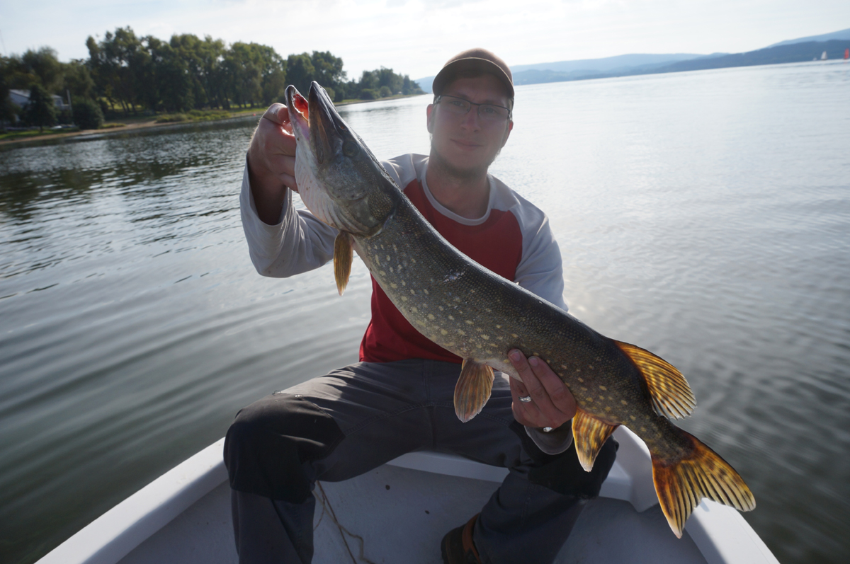 Hecht Nummer 2: Ein 75er Esox für Patrick Noack.