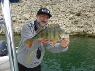 Johannes Dietel mit großen Barsch aus Spanien