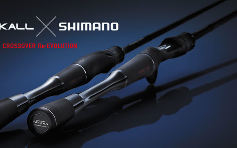 Shimano Poison Adrena – ein Überblick über Serie und Modelle