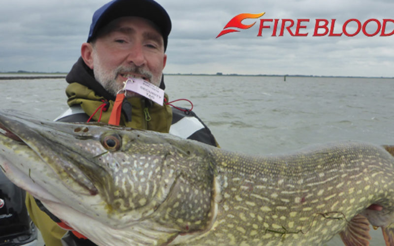 Shimano Fireblood 2018: Serien-Features und Modell-Übersicht
