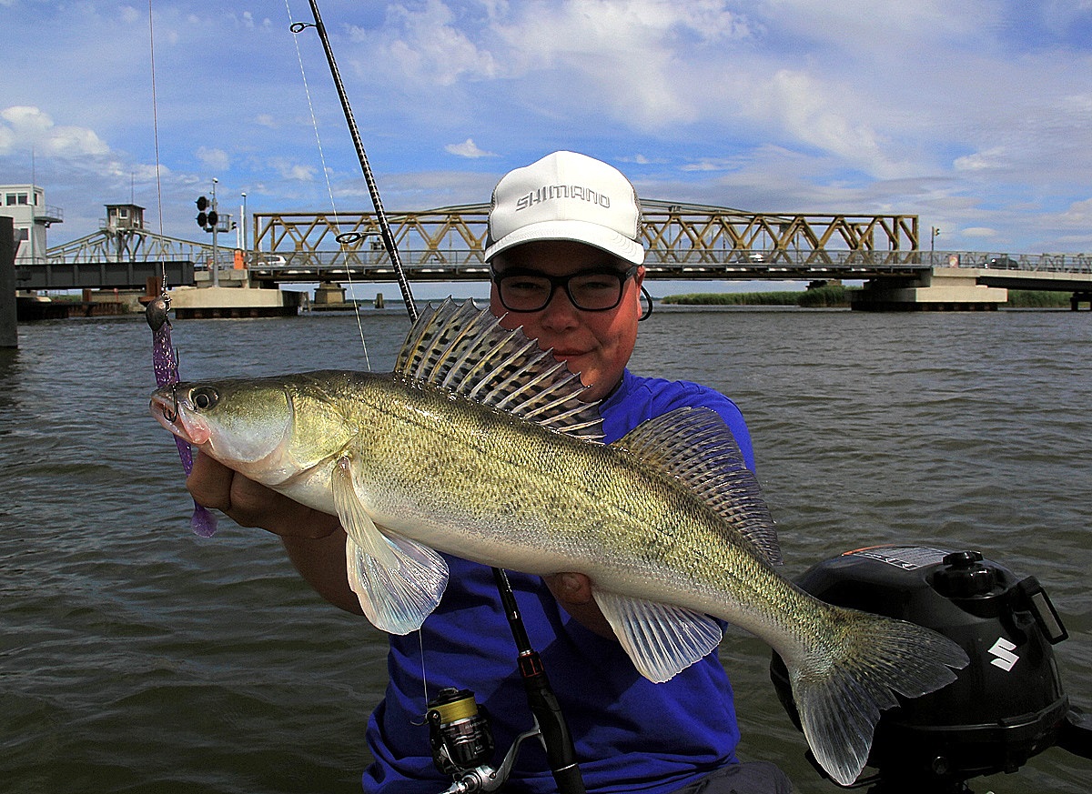 Zander mit Shimano Zodias 270 MH