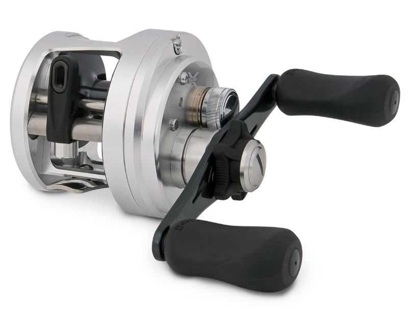 Shimano Calcutta D - der Klassiker.