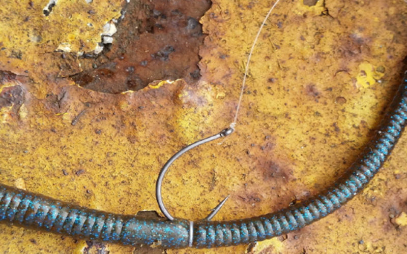 Neko-Rig: Alles hat ein Ende, nur der Wurm hat zwei!