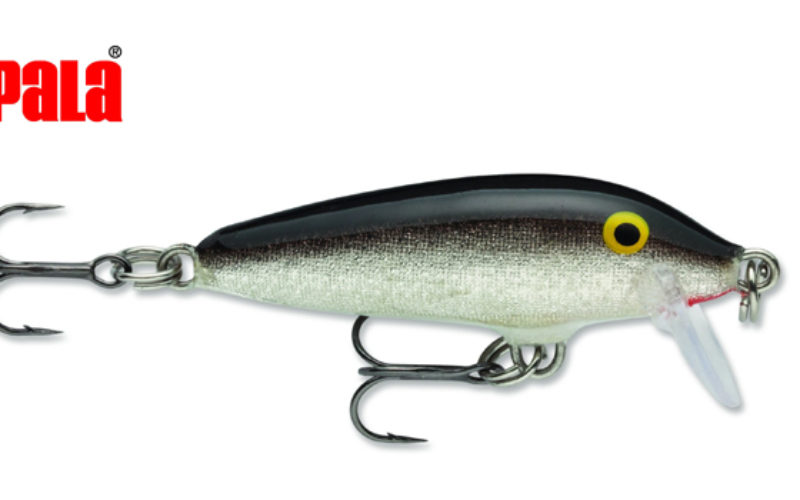 Oldie but Goldie: Der (Rapala) Countdown läuft!