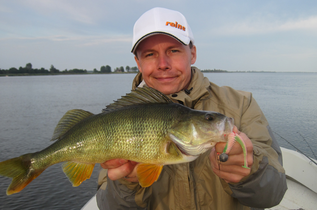 swingimpactjig2 BarschAlarm BarschAlarm Das größte