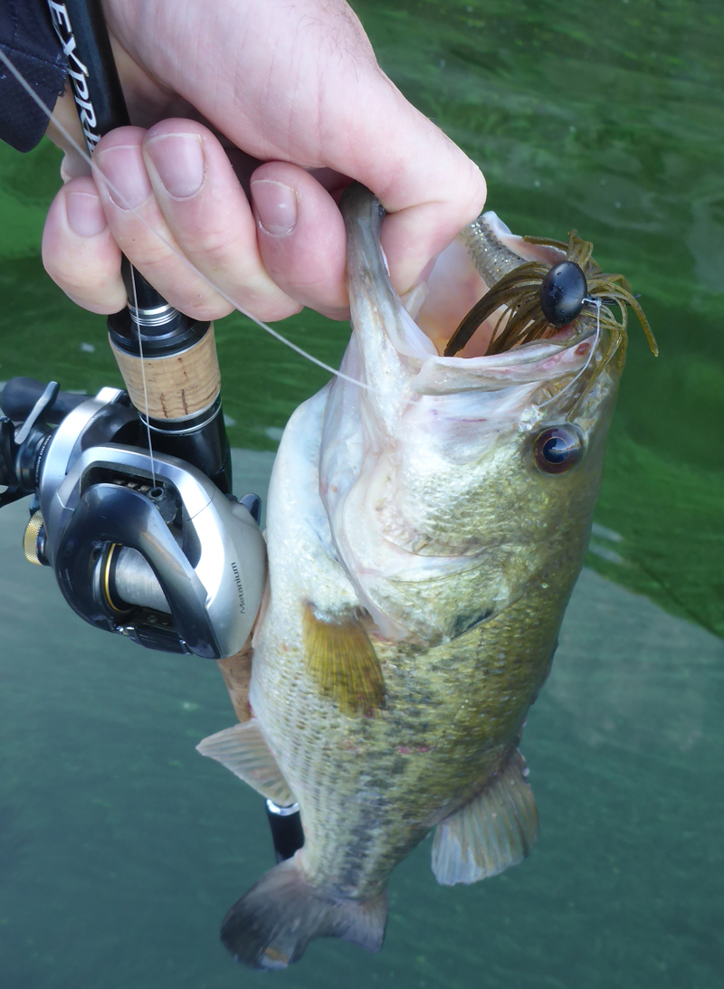 Keitech Swing Impact Blackbass