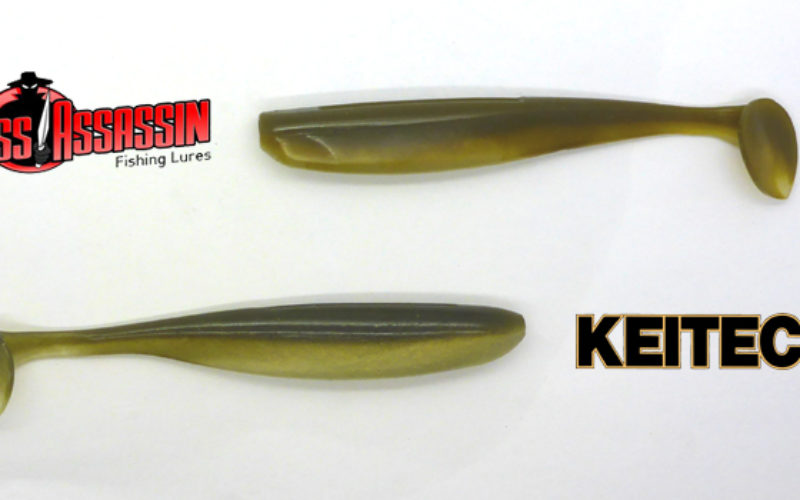 BassAssassin Elite Shiner – der Schatten-Shiner