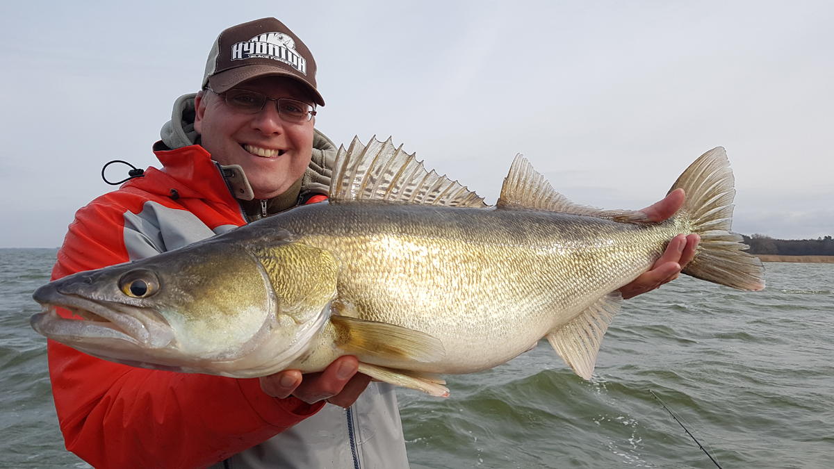 Zander im Winter: Bodden Angeln