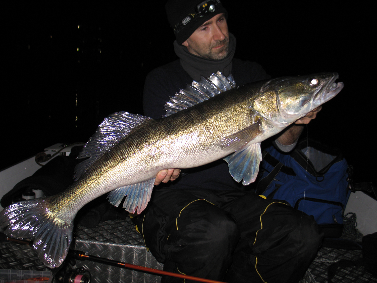 Zander im Winter: Rummelsburger See Berlin in der Nacht