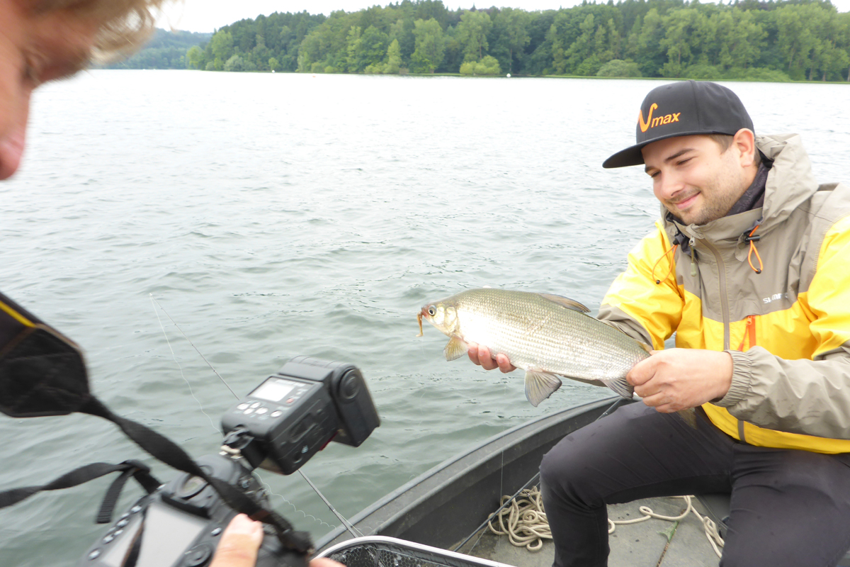 Dropshotten auf Maräne Wobble Shad