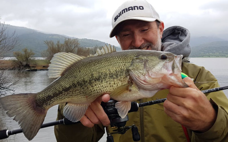Yasei Crankbait – reinrassige Crankbait-Rute