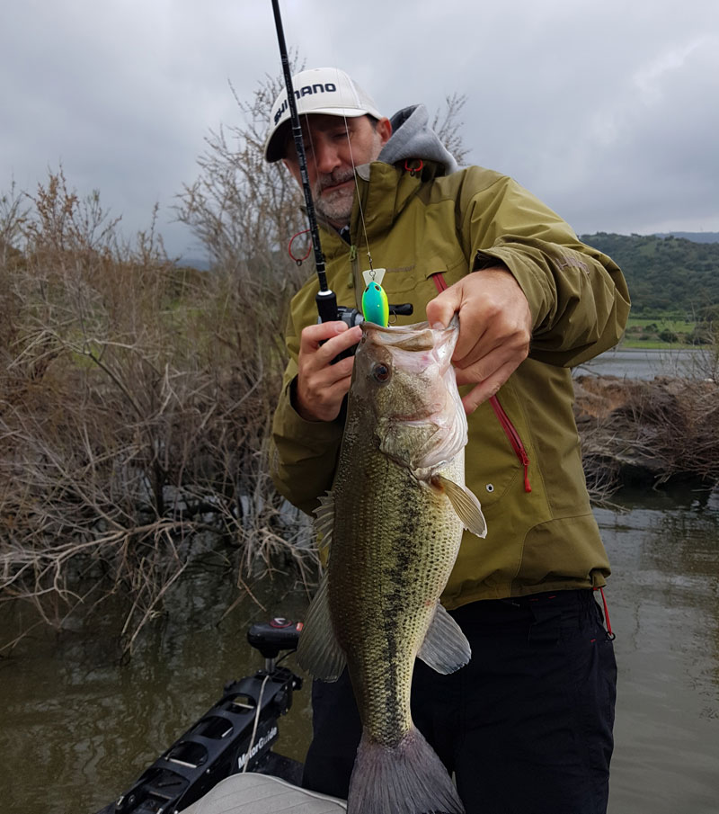 Yasei Crankbait mit Schwarzbarsch auf Crankbait.