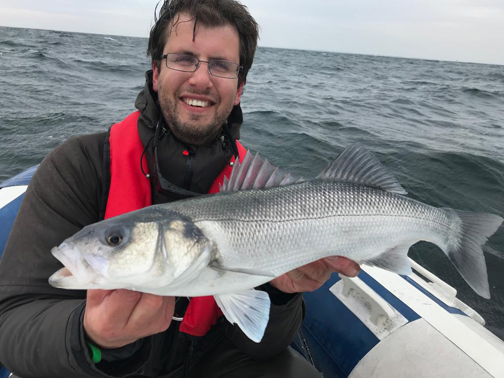 Wolfsbarsch in der Bretagne - Bootsfisch