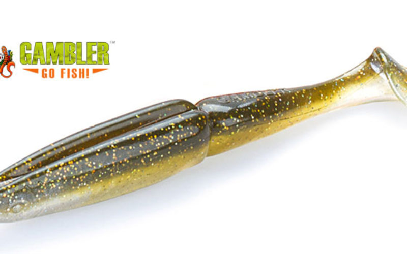 Undercover Shad – neue BA-Farbe bei Gambler Lures!