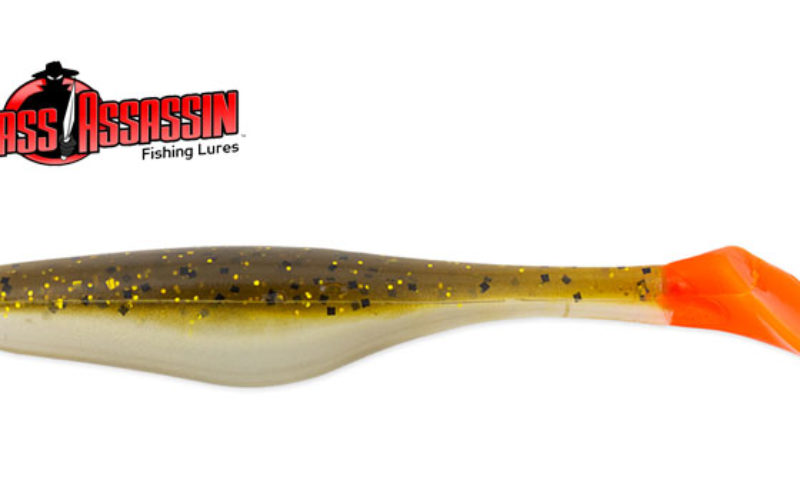 Nächste BA-Farbe bei BassAssassin: Green Pumpkin Gold OT