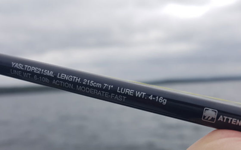 Yasei LTD Perch Crankbait im ersten Praxistest