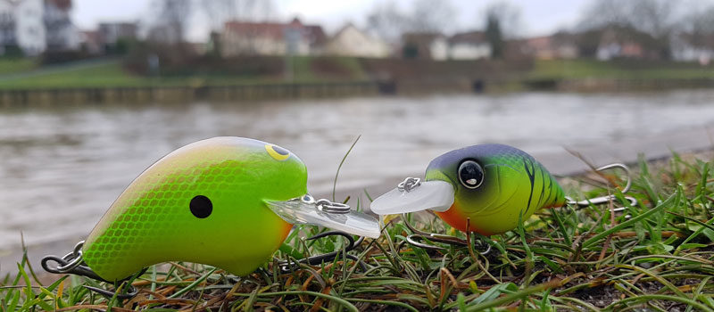 NEU: Shimano Hardbaits – eine Übersicht.