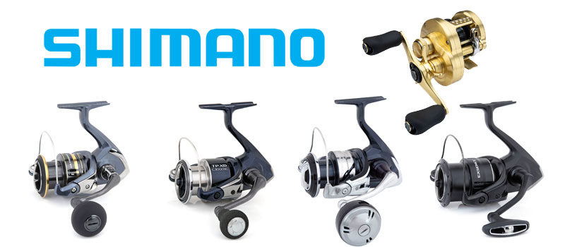 Neue Shimano-Rollen für 2021