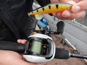 201er Chronarch, die extrem glatte Sufix 832 und der Rapala Flat Rap Barsch