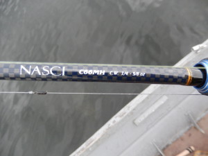 der NASCI-Schatz und das Stahlvorfach