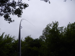 hängt! die Rute fängt den starken Widerstand eines gute Fisches super ab...