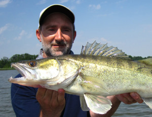 zander