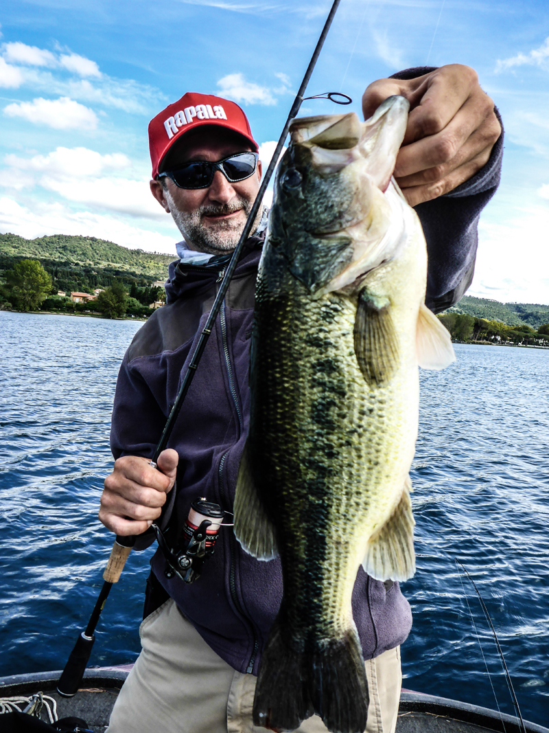 bolsena-blackbass1