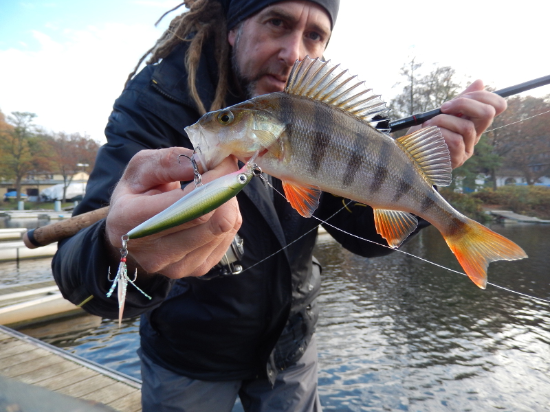 meine Nr.1: Rapala X-Rap, 8cm, 7g, Farbe OG, Lauftiefe 0,90-1,50m, absolutes Weitwurfwunder!