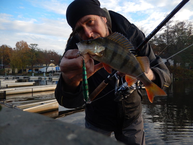 aber irgendwann steht ein Köderwechsel an: Klassiker Husky Jerk, 10cm, 10g, Lauftiefe 1,20m-2,40m, Farbe GP (Glass Perch) 