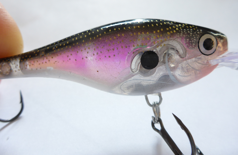 glass-shad-rap-1