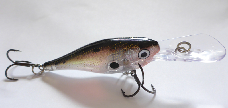 glass-shad-rap-11