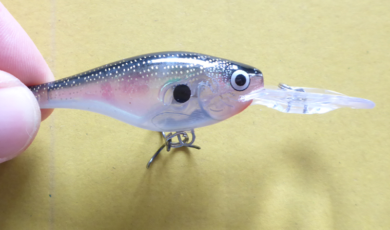 glass-shad-rap-12