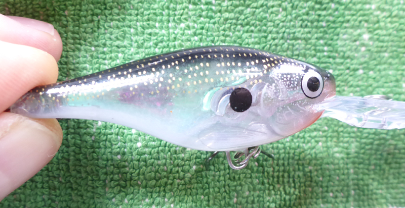 glass-shad-rap-13