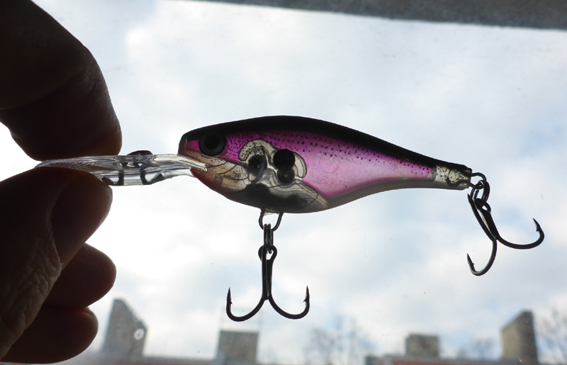 glass-shad-rap-14