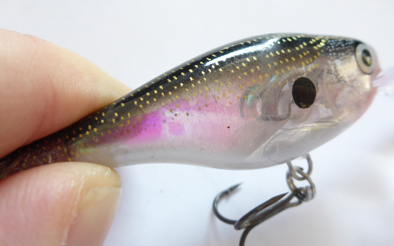 glass-shad-rap-6