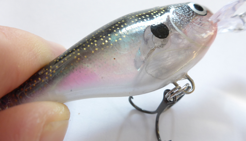 glass-shad-rap-7