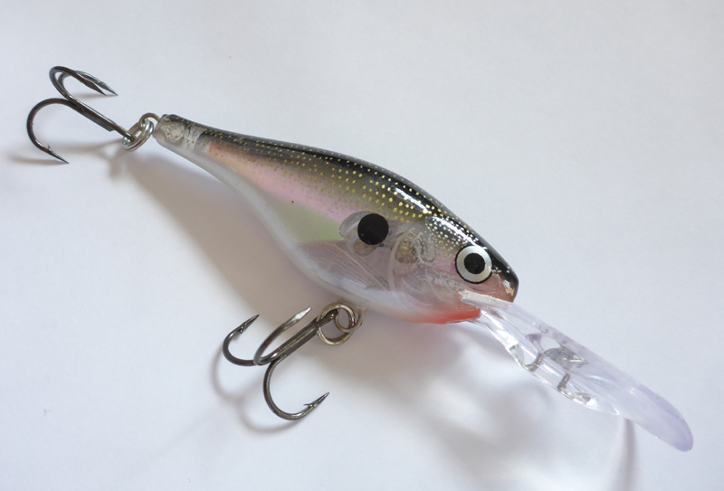 glass-shad-rap-9