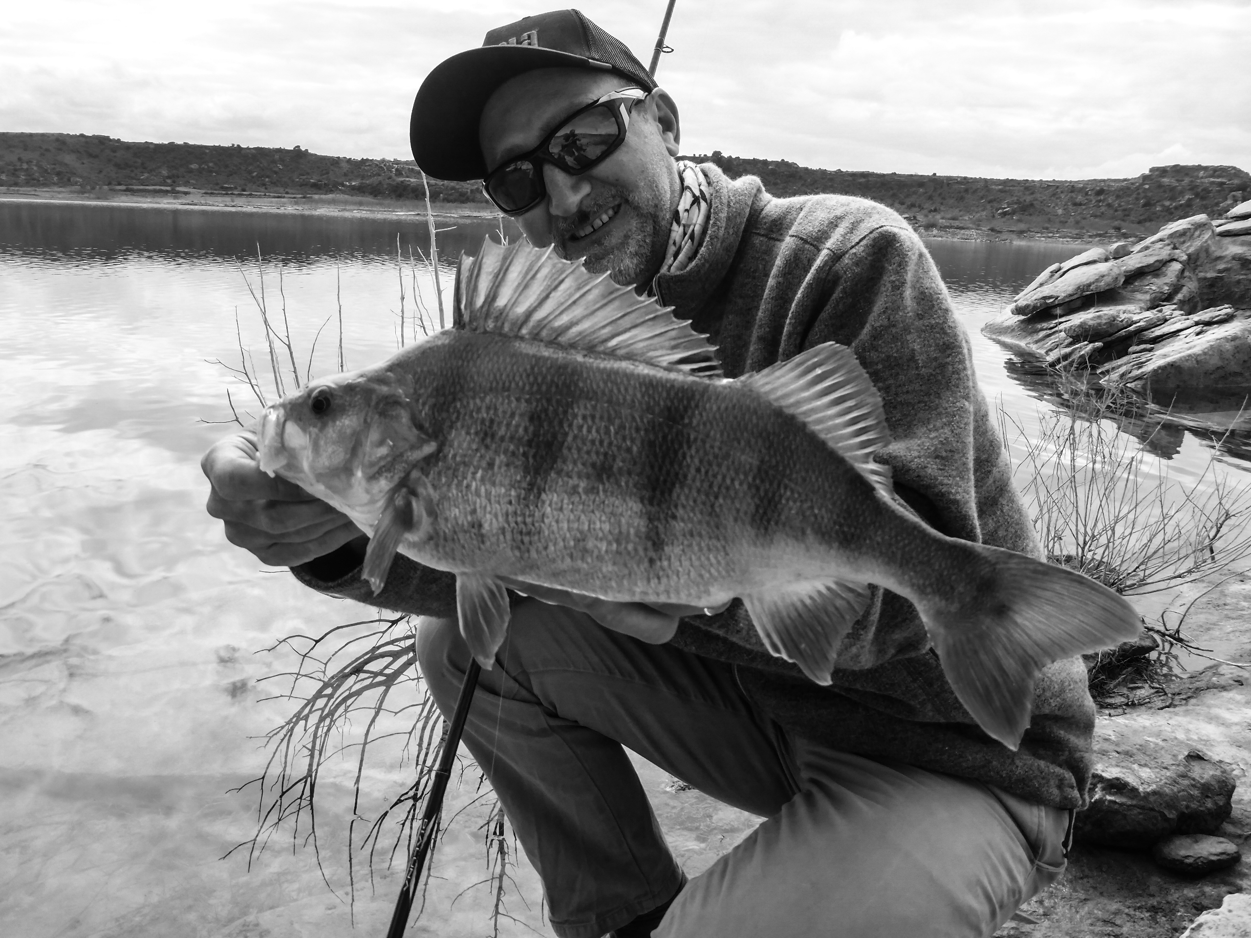 Der Dickbarsch Countdown L uft Barsch Alarm Barsch Alarm Das 