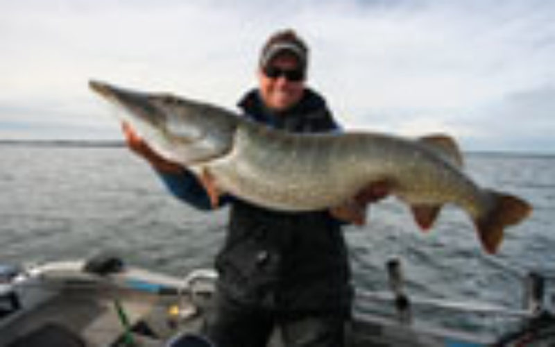 Shimano und Team Bodden-Angeln veranstalten Yasei–Bodden–Masters