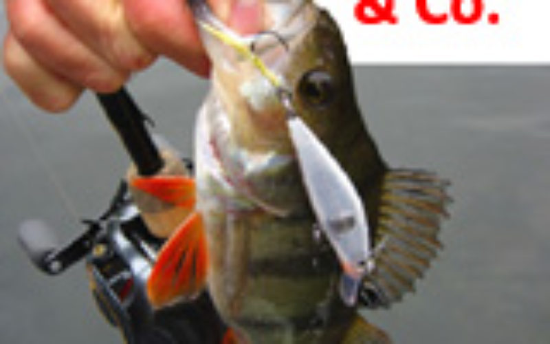Köder-News von Rapala, Storm, Williamson, Blue Fox und Trigger X