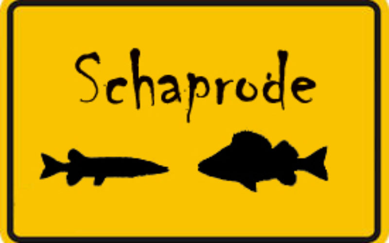 Schaprode intensiv: Ein voller Monat ganz dicht am Fisch